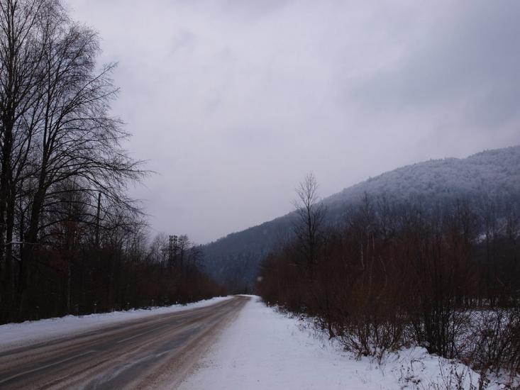 Підліски з panoramio.com - Подлески