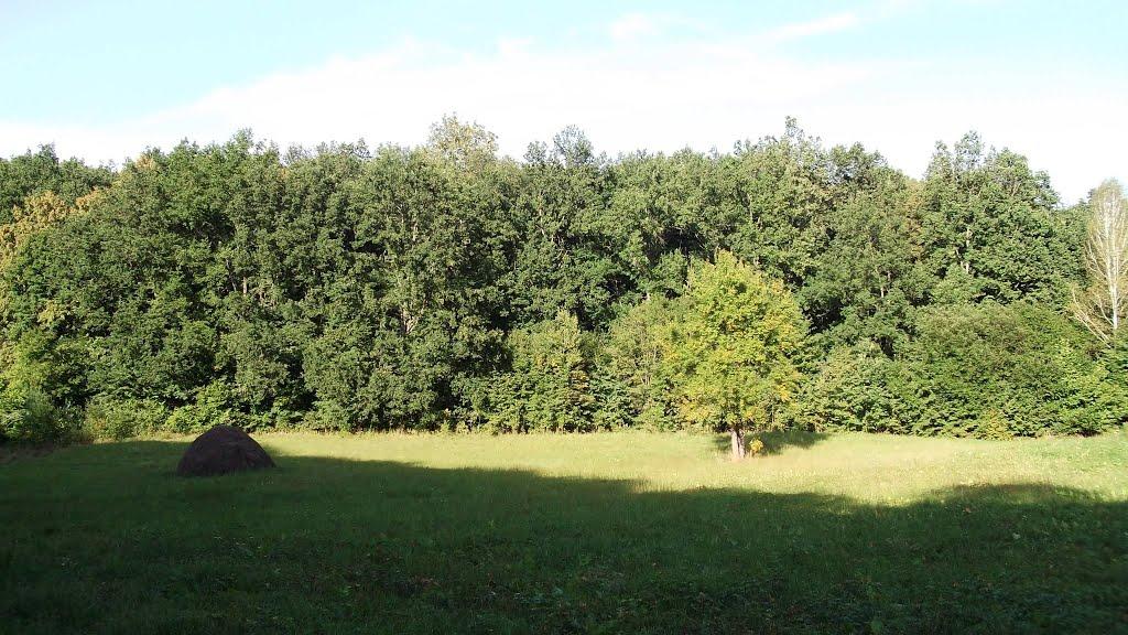 Микільське з panoramio.com - Никольское