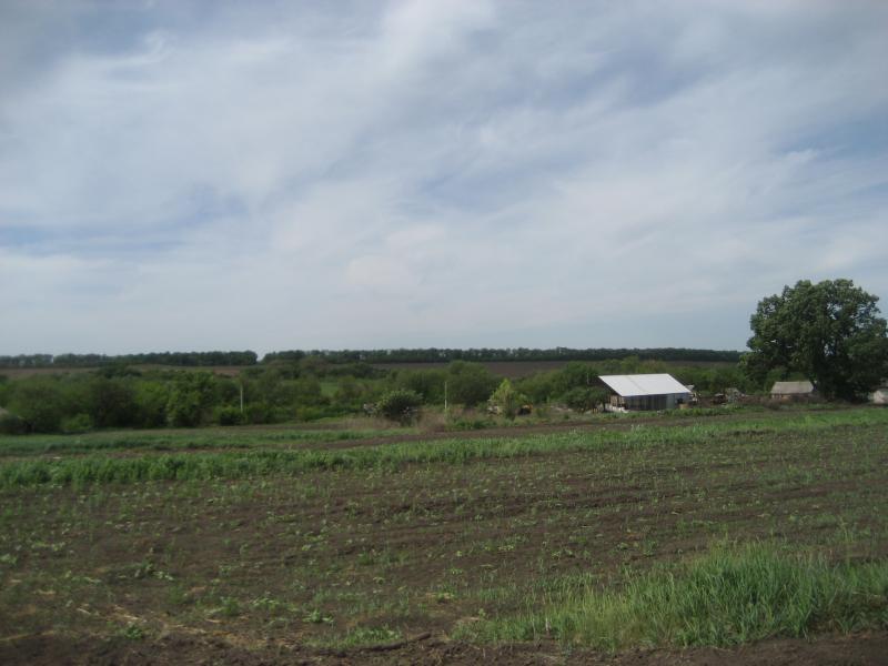 Северинівка - Северинівка