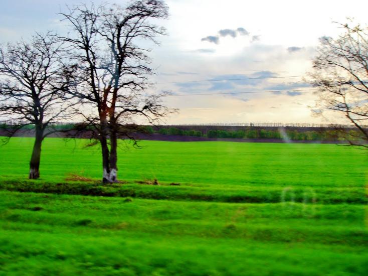 Неморож з panoramio.com - Неморож