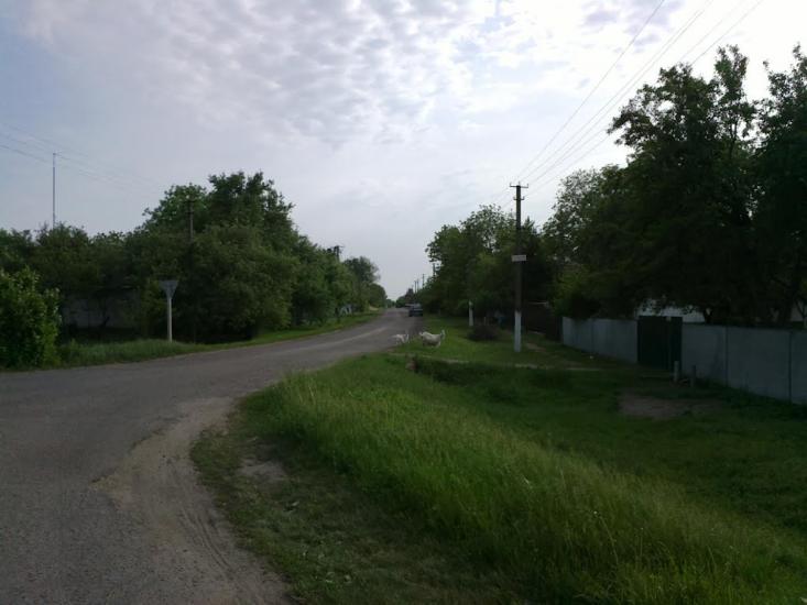 Засупоївка з panoramio.com - Засупоевка