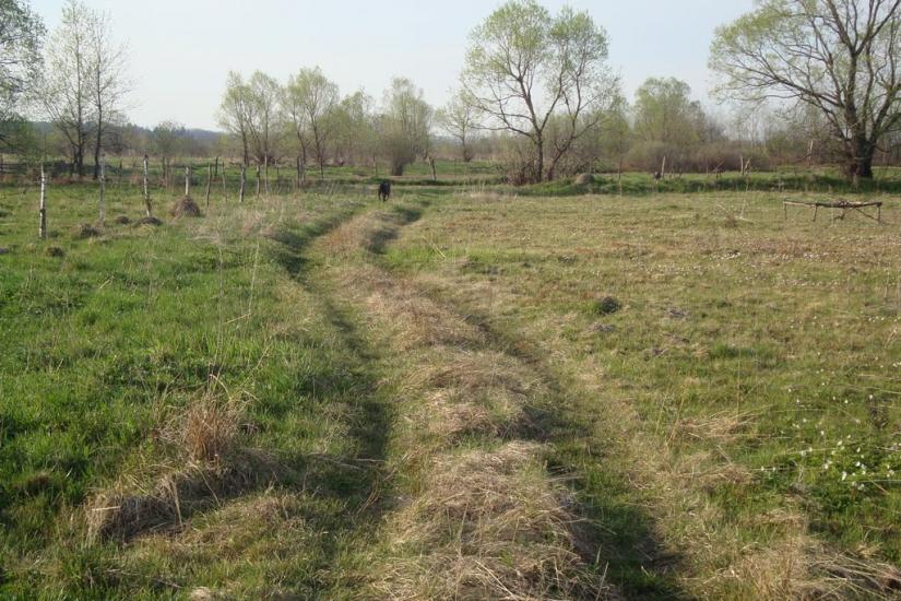 Ценява з panoramio.com - Ценява