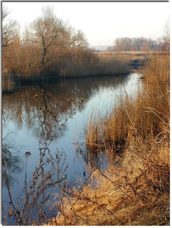 Новий Стародуб з panoramio.com - Новий Стародуб