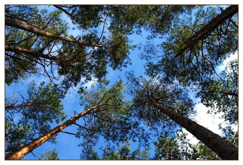 Зазим'я з panoramio.com - Зазимье