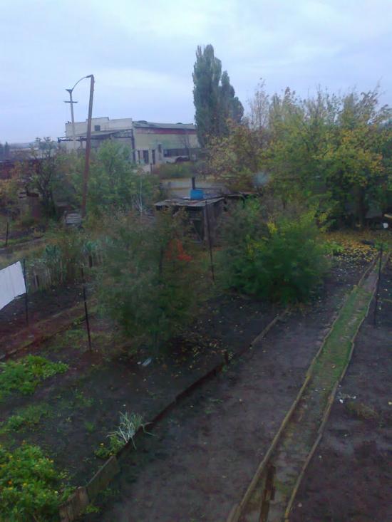 Новоганнівка з panoramio.com - Новоганновка