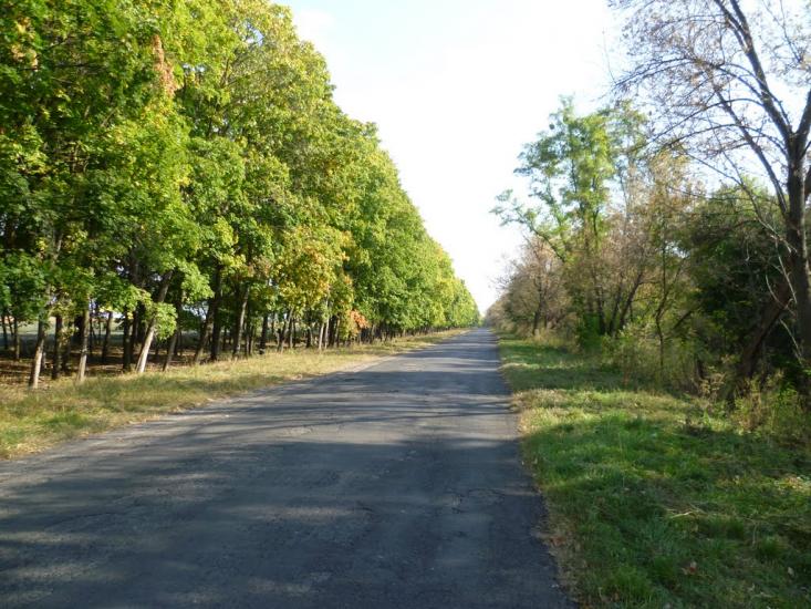 Гоголеве з panoramio.com - Gogoleve