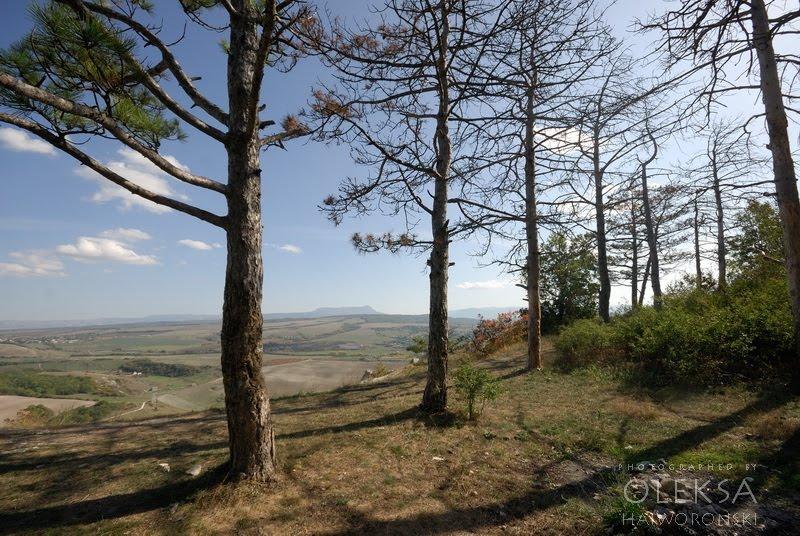 Партизанське з panoramio.com - Партизанское