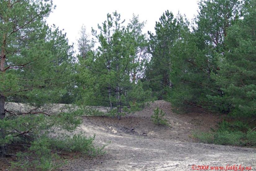 Раденськ з panoramio.com - Radensk