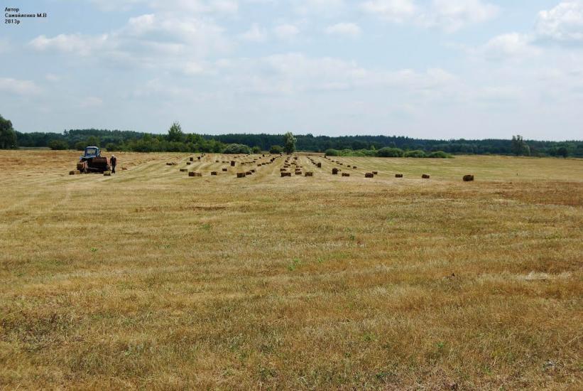 Лабурівка з panoramio.com - Лабурівка