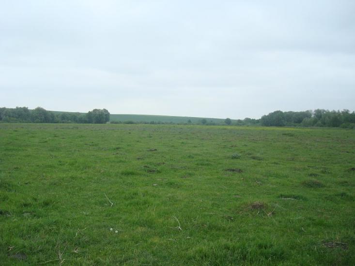 Малашівці з panoramio.com - Малашевцы