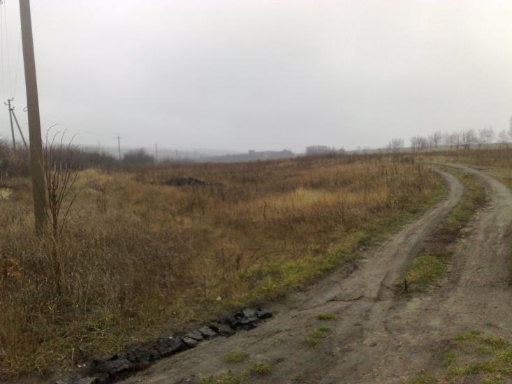 Питомник з panoramio.com - Питомник