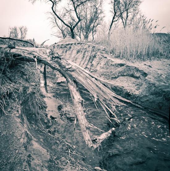 Калинове з panoramio.com - Калинове