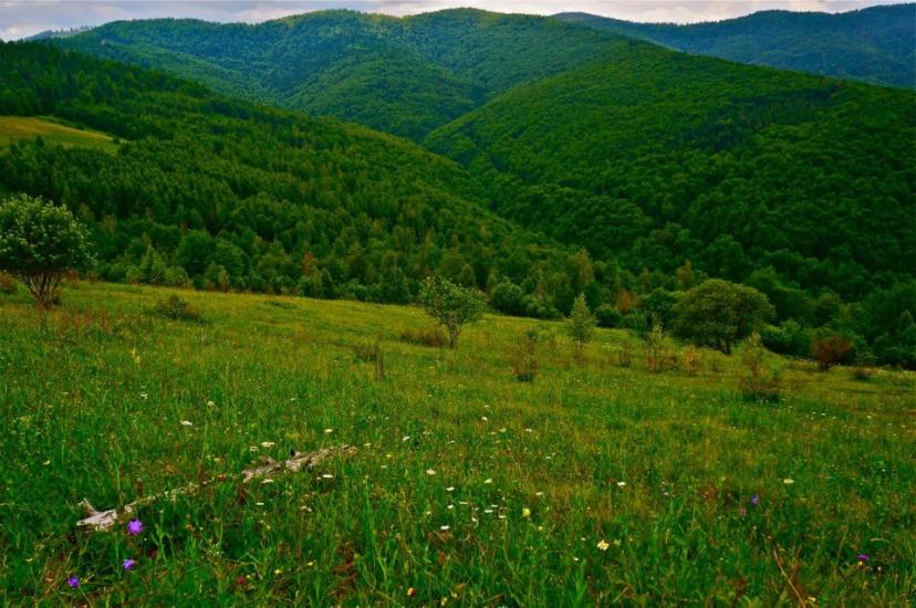 Баня-Березів з panoramio.com - Баня-Березов