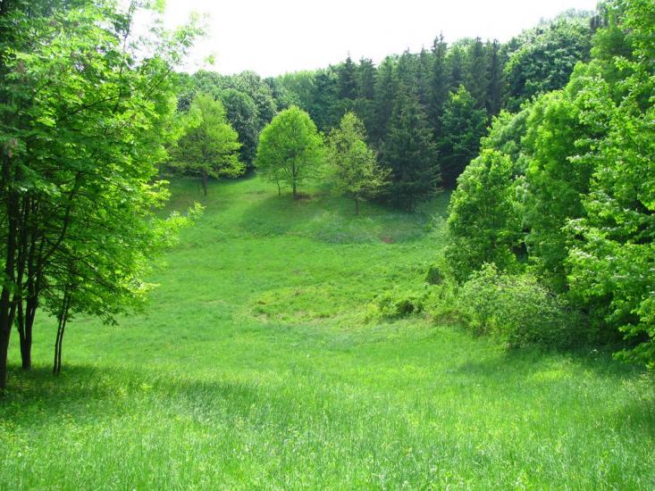 Краснокутськ з panoramio.com - Краснокутск