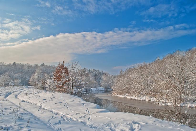 Тригір'я з panoramio.com - Тригорье