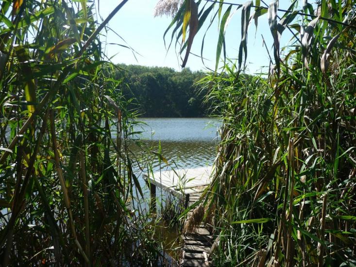 Бабаї з panoramio.com - Бабаи