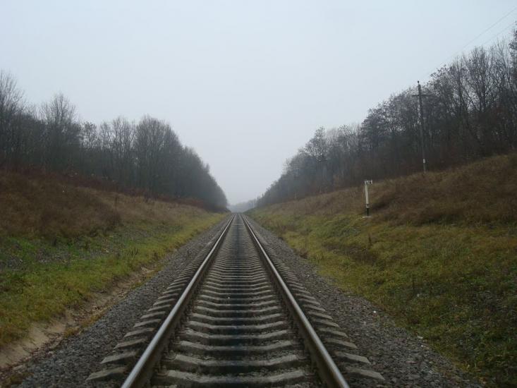Лошківці з panoramio.com - Лошковцы