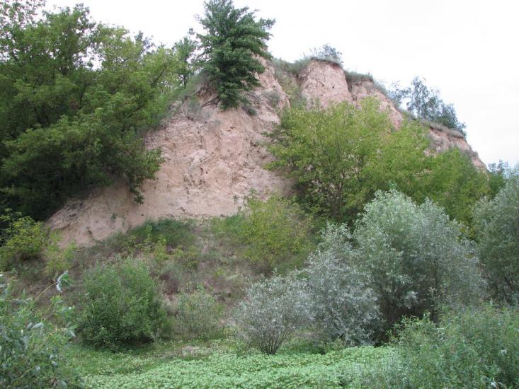 Дробишів з panoramio.com - Дробышев