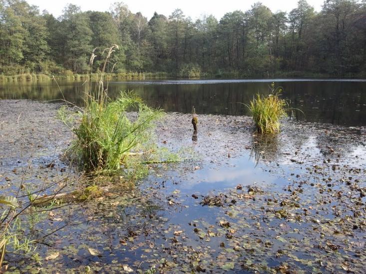 Малий Любінь з panoramio.com - Malyy Lyubin