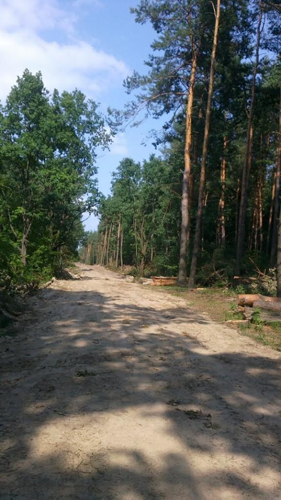 Нараївка з panoramio.com - Нараевка