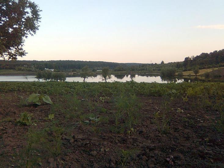 Росоховата з panoramio.com - Росоховата
