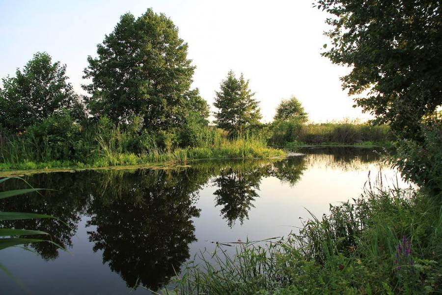 Кам'янка з panoramio.com - Каменка