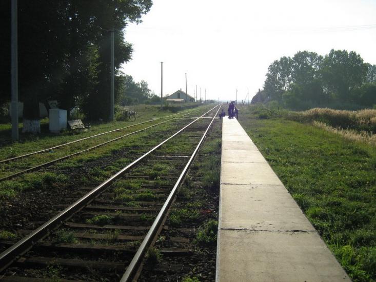 Заболоття з panoramio.com - Заболоття