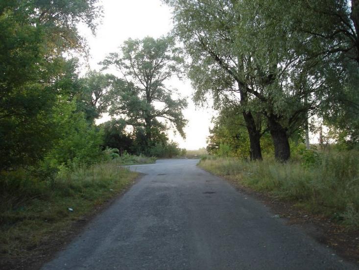 Козаровичі з panoramio.com - Козаровичи
