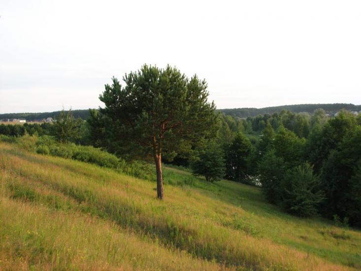 Любимівка з panoramio.com - Любимовка