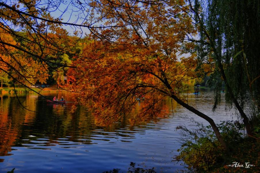 Новосілки з panoramio.com - Новоселки