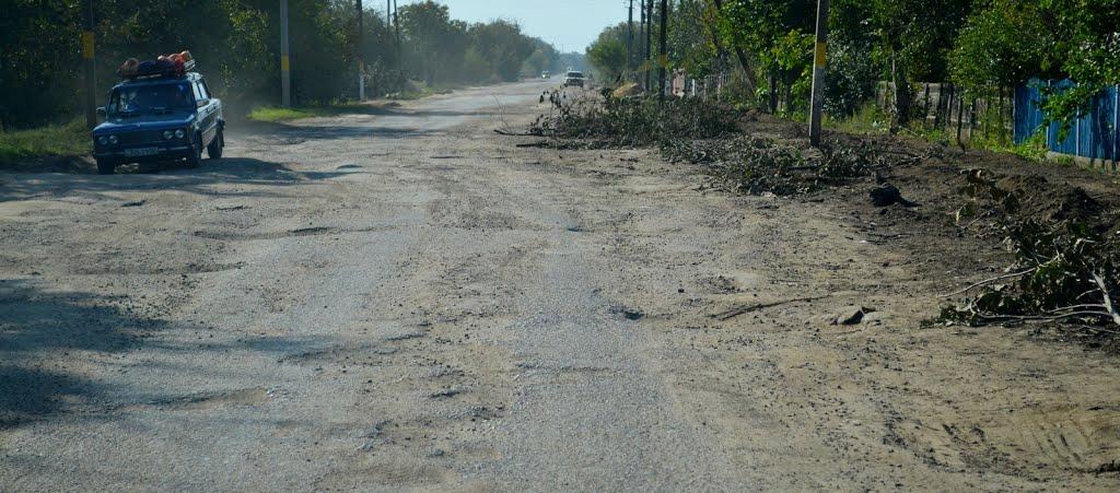 Новокрасне з panoramio.com - Новокрасное