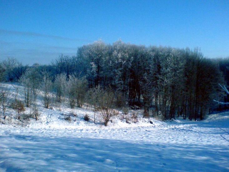 Ставище з panoramio.com - Ставище