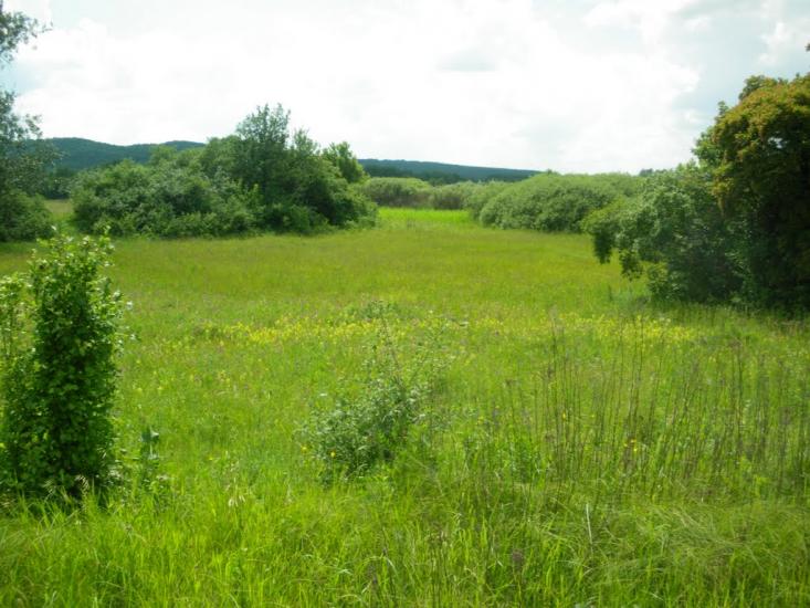 Ярова з panoramio.com - Ярова