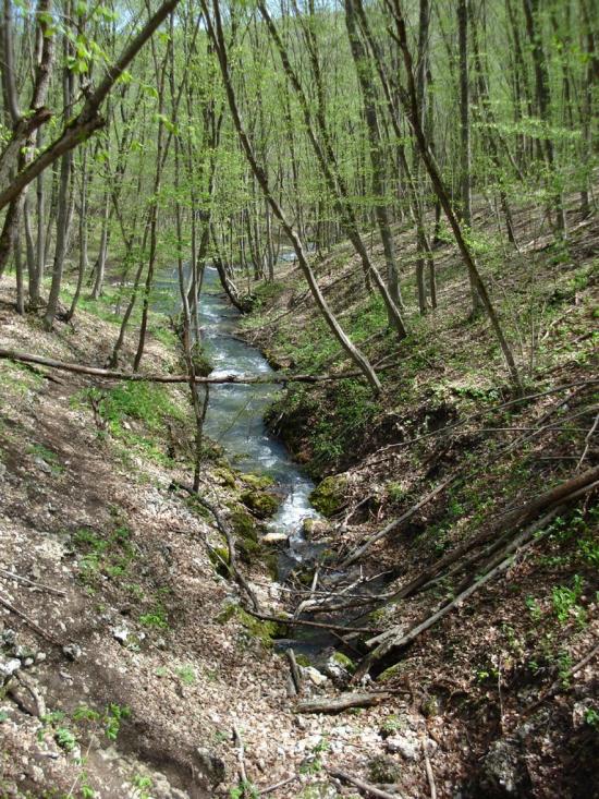 Овражки з panoramio.com - Овражки