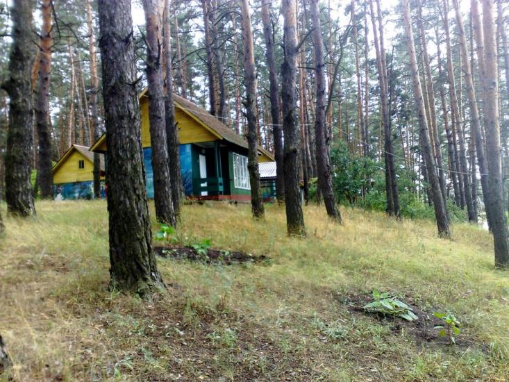 Крейдянка з panoramio.com - Крейдянка