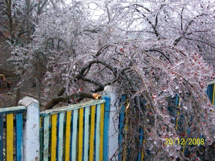 Любашівка з panoramio.com - Любашевка