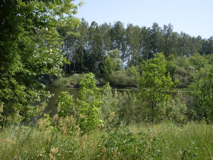 Прилужжя з panoramio.com - Прилужье