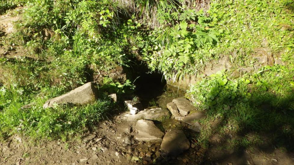 Ялинкувате з panoramio.com - Ялинкувате