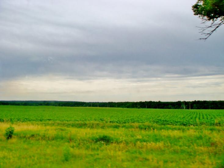 Звенигородка з panoramio.com - Звенигородка