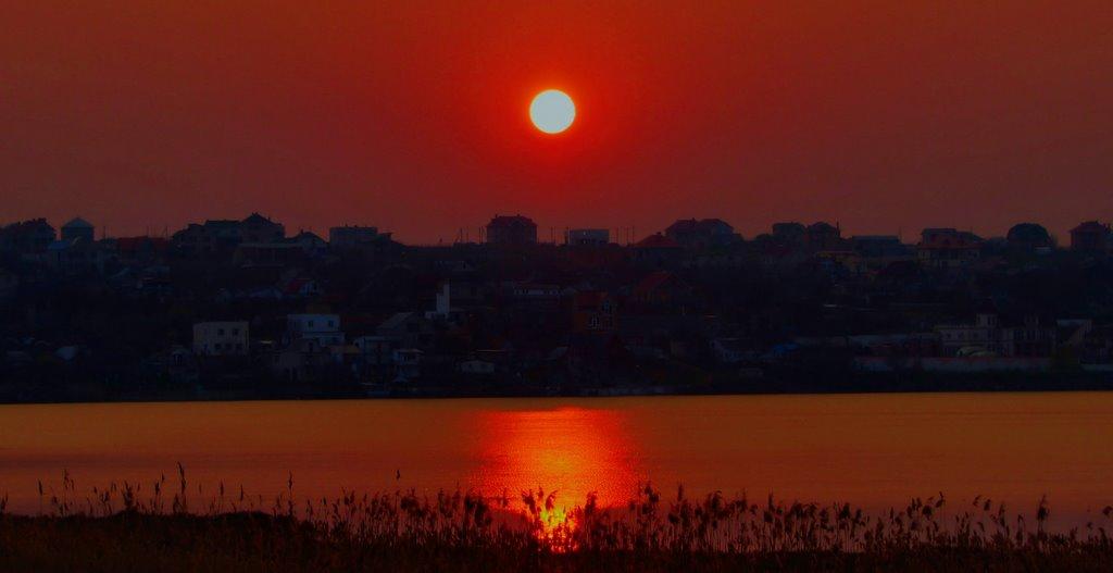 Нова Дофінівка з panoramio.com - Новая Дофиновка