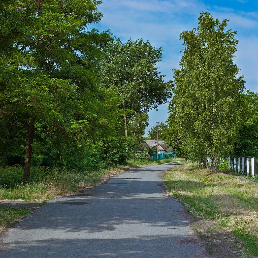 Корніївка з panoramio.com - Корніївка