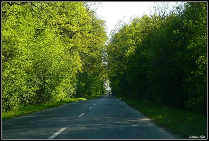 Бадалово з panoramio.com - Бадалово