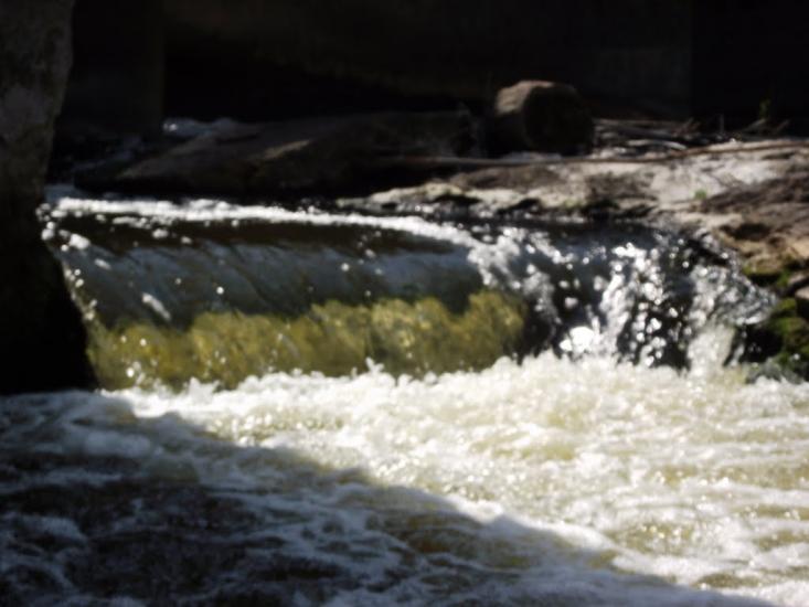 Березняки з panoramio.com - Березняки