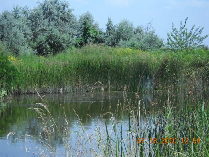 Солонці з panoramio.com - Солонцы