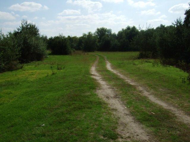 Солонці з panoramio.com - Солонцы