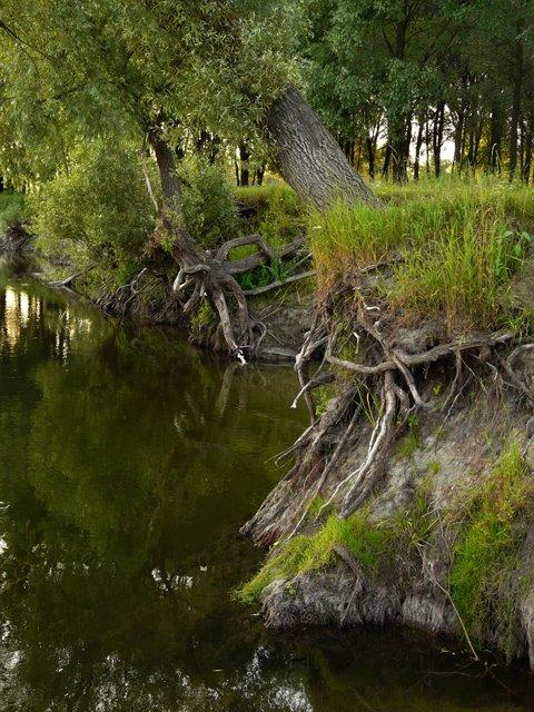 Мутин з panoramio.com - Мутин