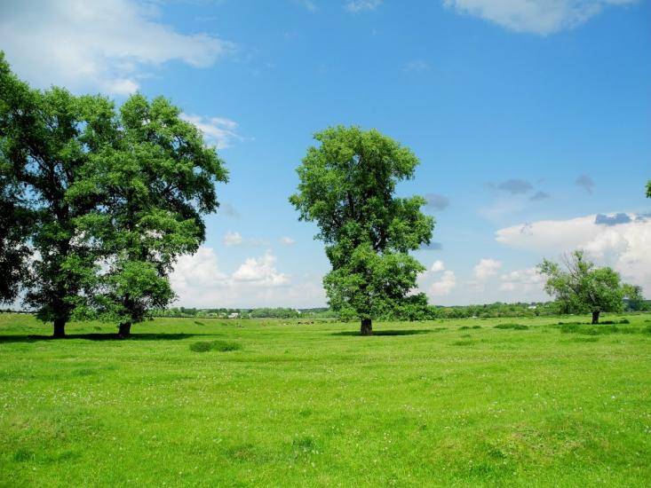 Мутин з panoramio.com - Mutyn