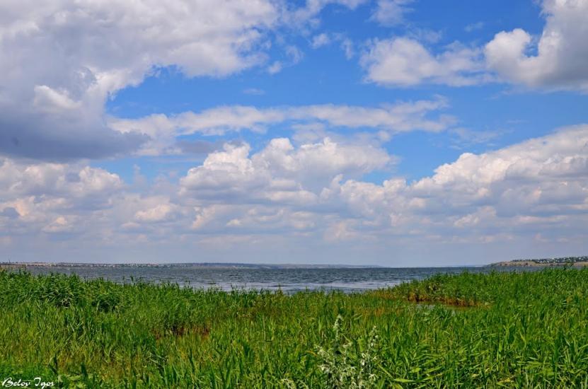 Алтестове з panoramio.com - Алтестово