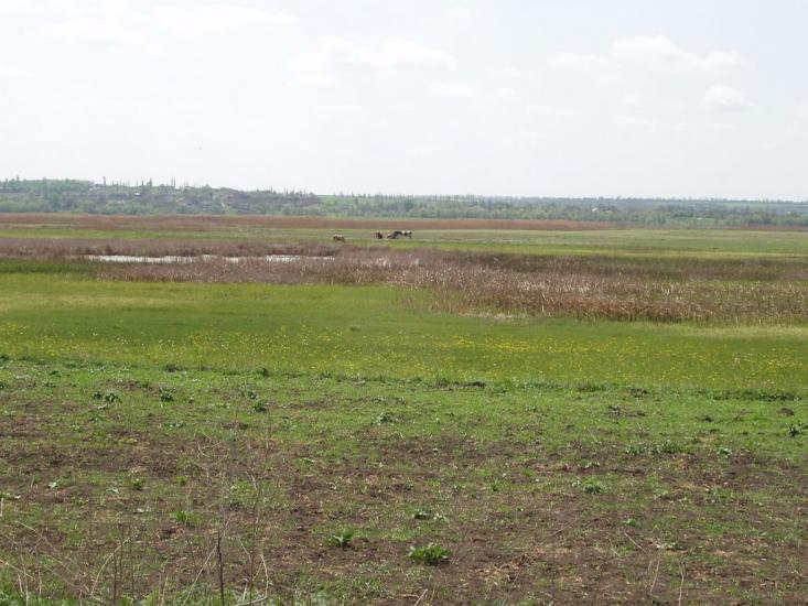 Єлизаветка з panoramio.com - Єлизаветка