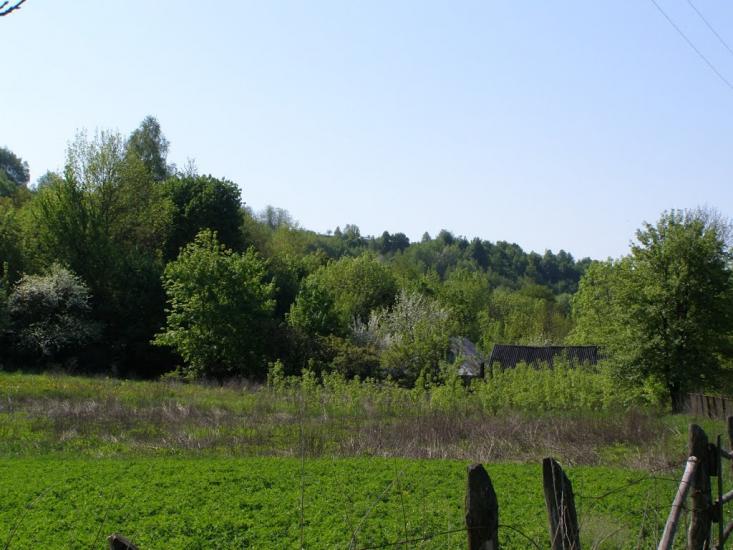 Черкасівка з panoramio.com - Cherkasivka